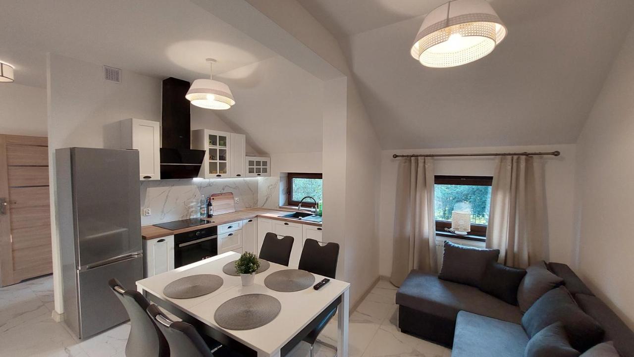 Apartamenty Starowiejska 39, Ryczow - 10Km Od Zator Energylandia Экстерьер фото